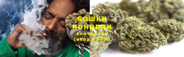 сатива Верея