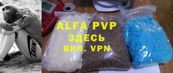 сатива Верея