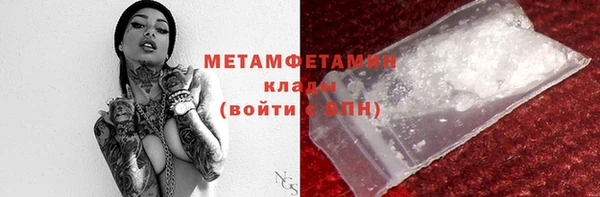 сатива Верея