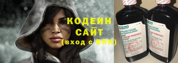 сатива Верея
