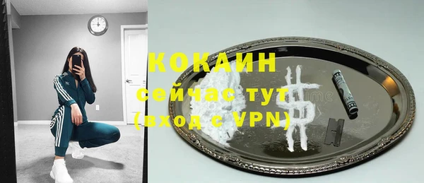 сатива Верея