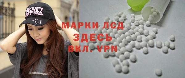 сатива Верея