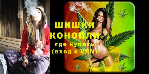 сатива Верея